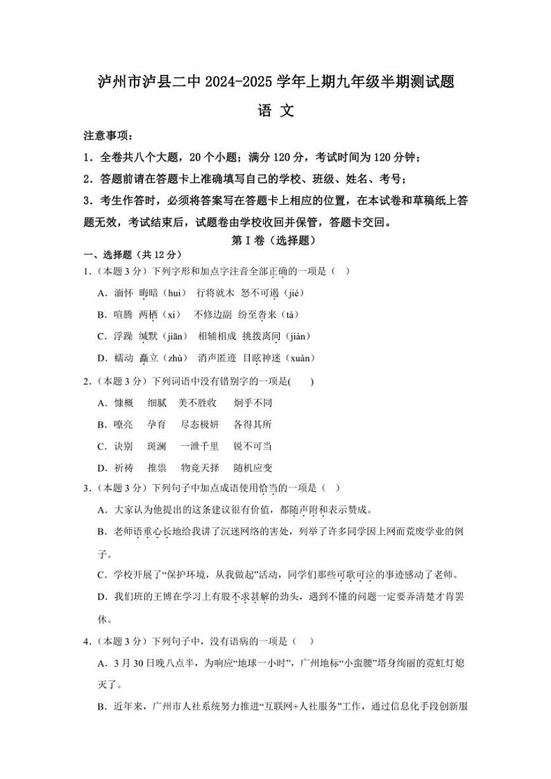 四川省泸州市泸县第二中学2024~2025学年九年级(上)期中语文试卷(含答案)第1页