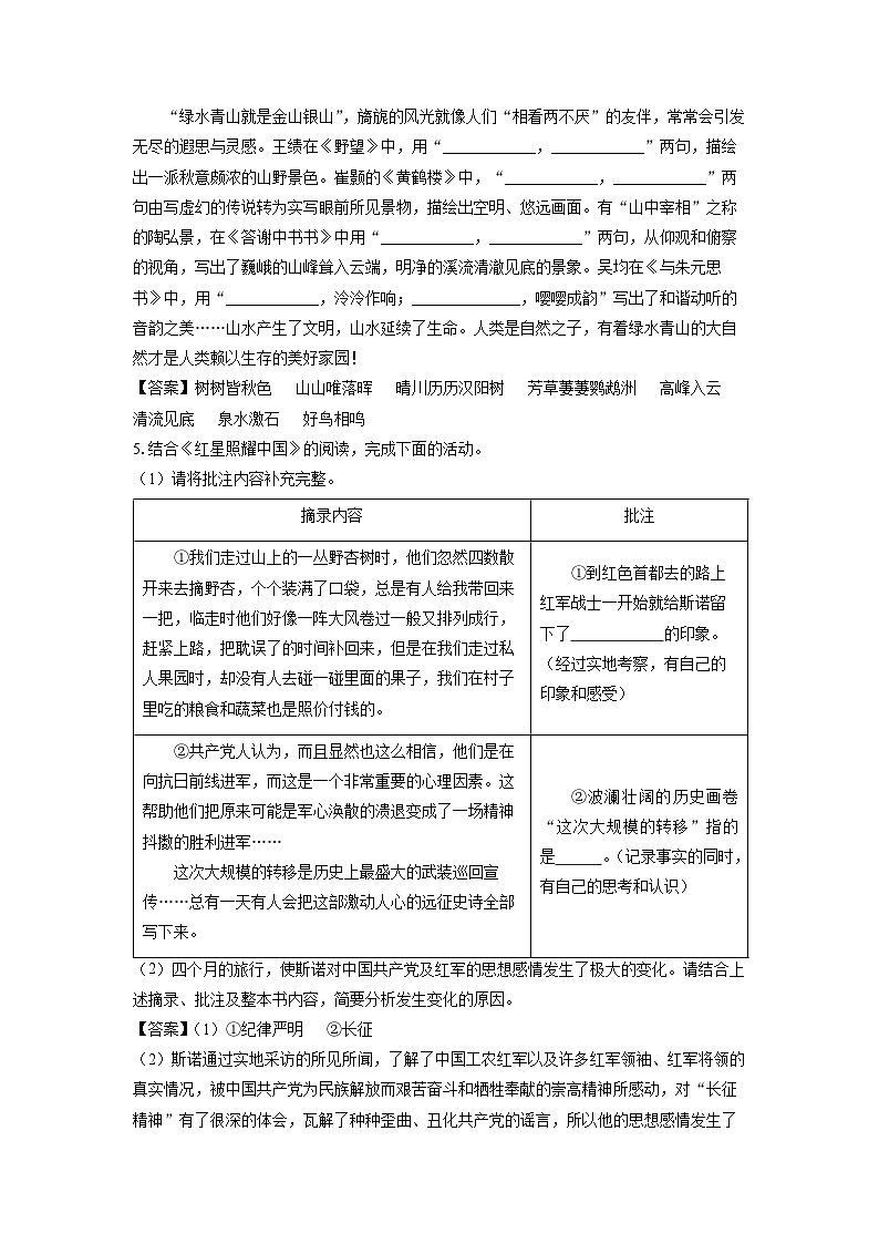 河南省周口市川汇区2024-2025学年八年级上学期期中考试语文试卷(解析版)第3页