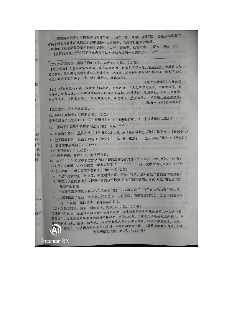 山东省菏泽市成武县2024-2025学年九年级上学期11月期中语文试题第3页