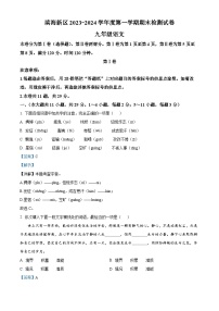 天津市滨海新区2023-2024学年九年级上学期期末语文试题（解析版）