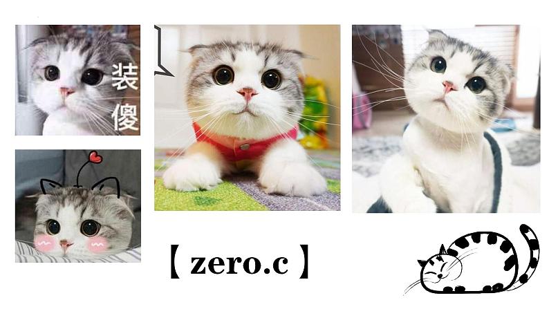 第17课《猫》课件-2024-2025学年统编版语文七年级上册(2024)第6页