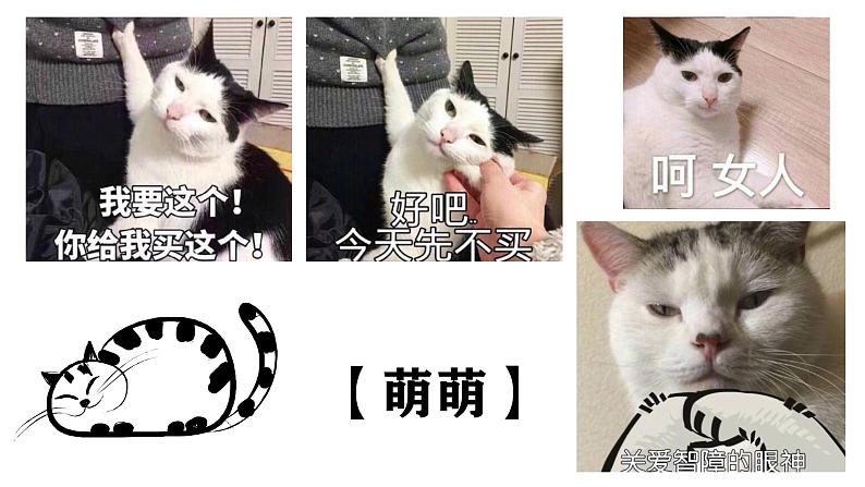 第17课《猫》课件-2024-2025学年统编版语文七年级上册(2024)第8页