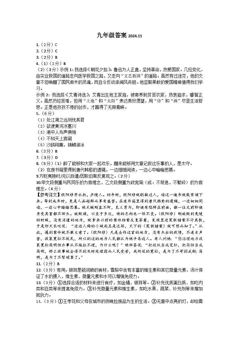 辽宁省沈阳市于洪区2024-2025学年九年级上学期期中语文试卷01