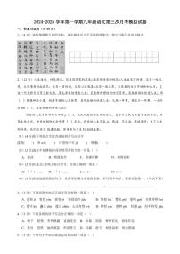 甘肃省武威市凉州区新华中学2024—2025常年九年级(上)第三次月考模拟语文试卷(含答案)