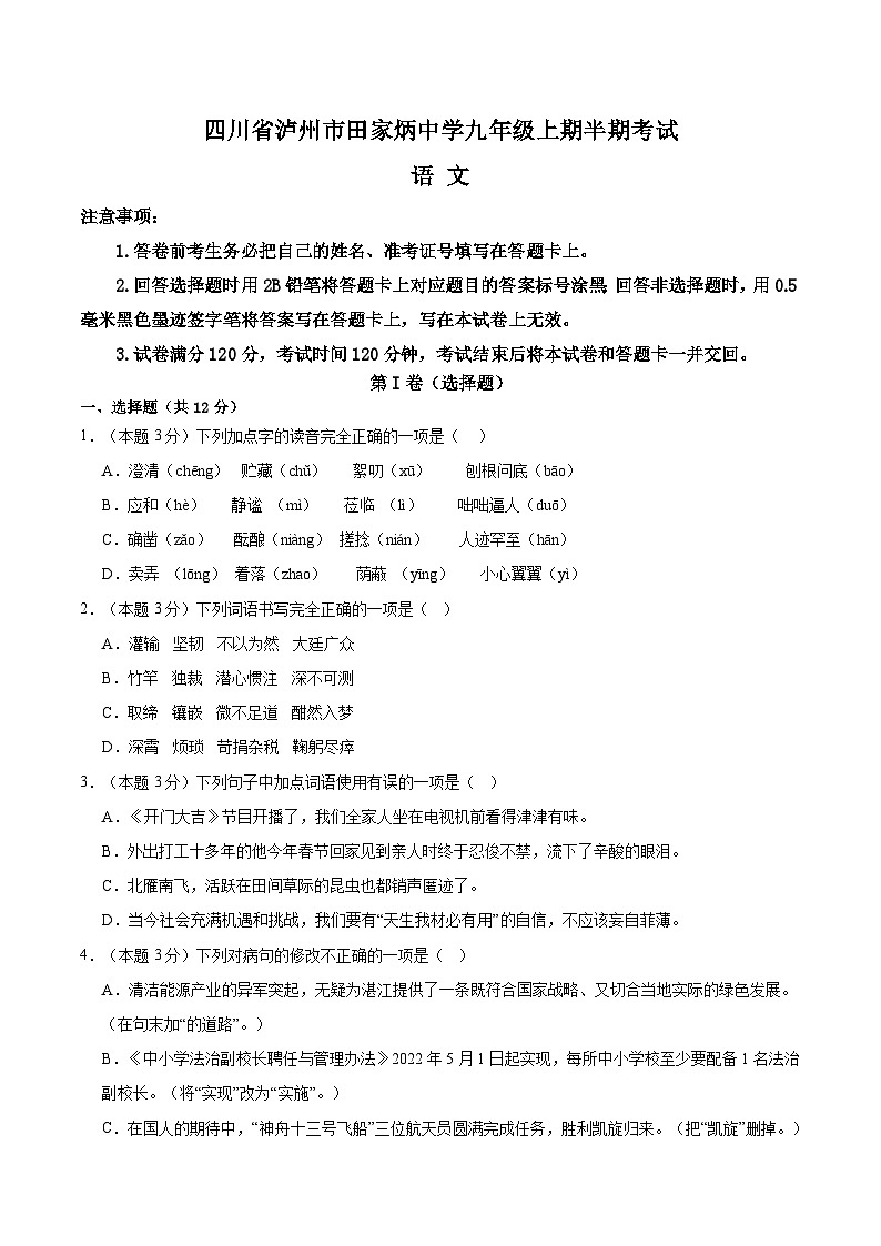四川省泸州市田家炳中学2024-2025学年九年级上学期11月期中语文试题第1页