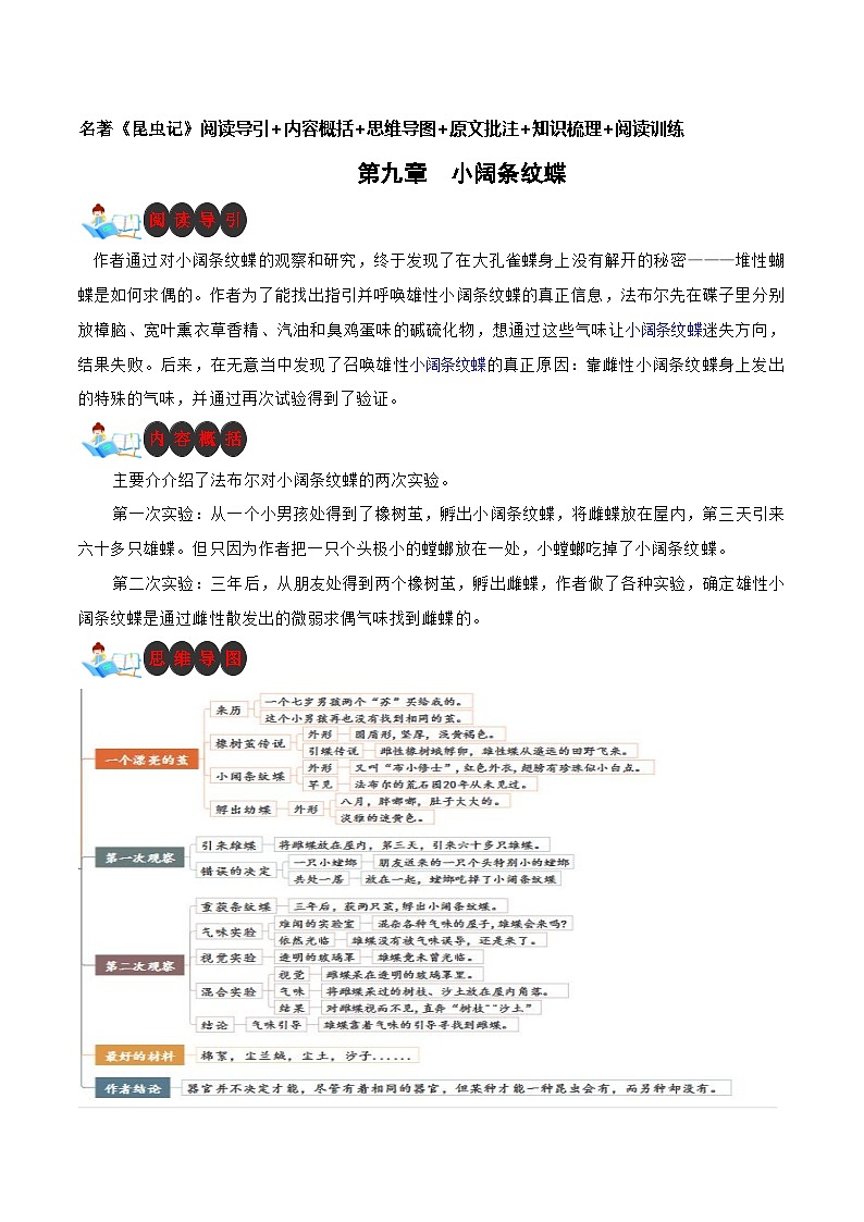 第九章 小阔条纹蝶-名著《昆虫记》阅读导引+内容概括+思维导图+原文批注+知识梳理+阅读训练第1页