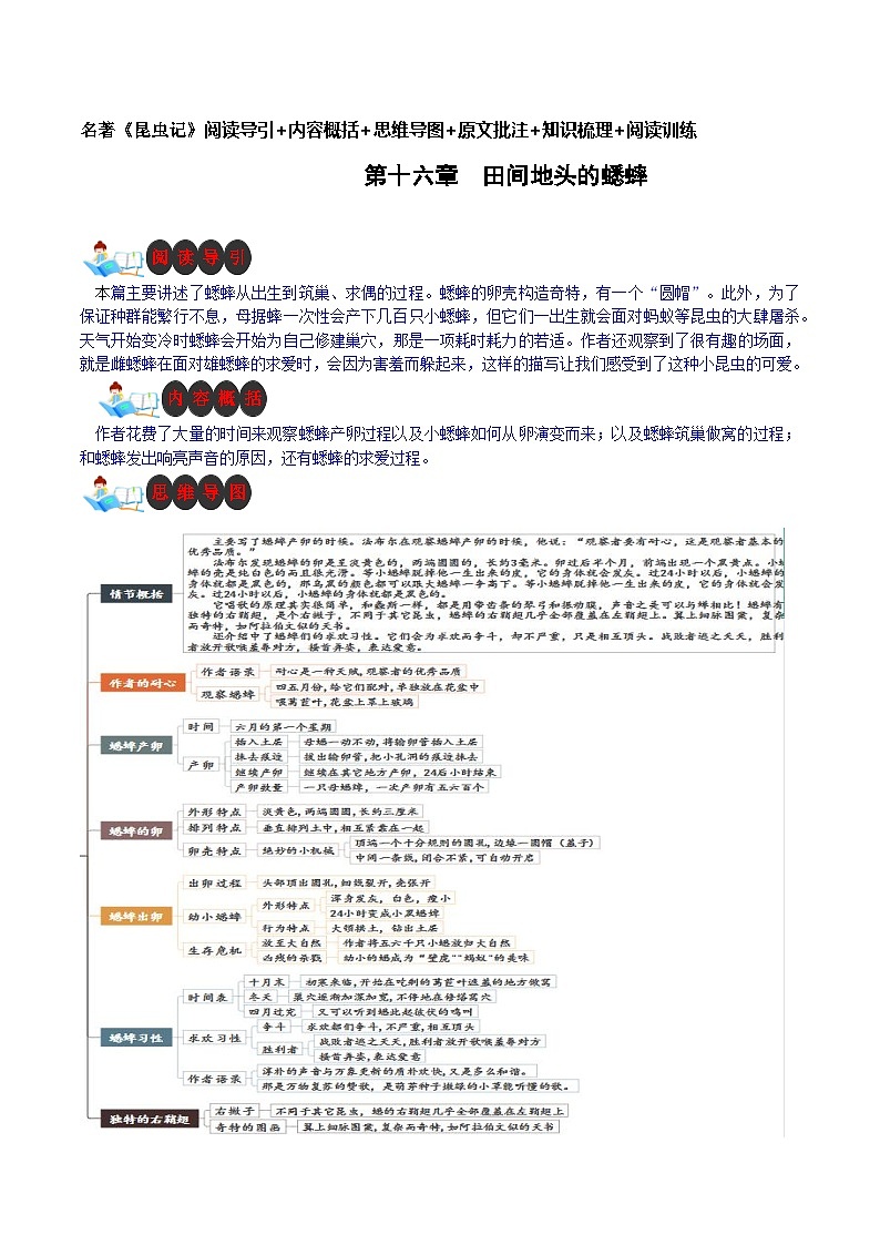 第十六章 田间地头的蟋蟀-名著《昆虫记》阅读导引+内容概括+思维导图+原文批注+知识梳理+阅读训练第1页