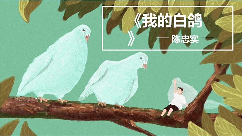 统编版语文七年级上册第18课《我的白鸽》课件第1页