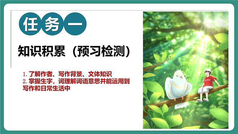 统编版语文七年级上册第18课《我的白鸽》课件第4页