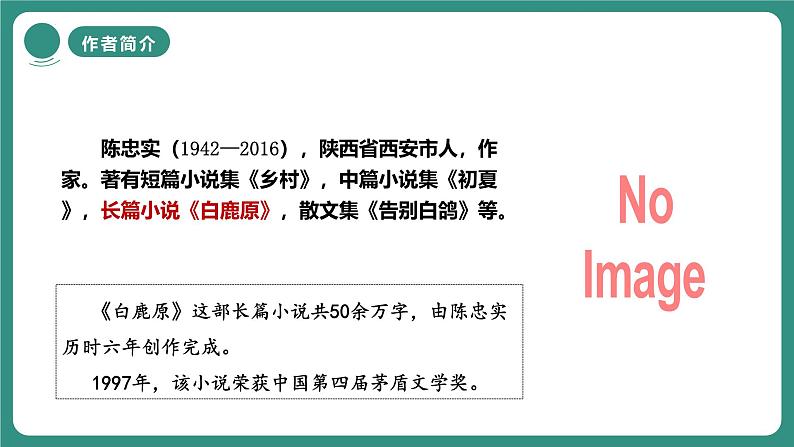 统编版语文七年级上册第18课《我的白鸽》课件第5页