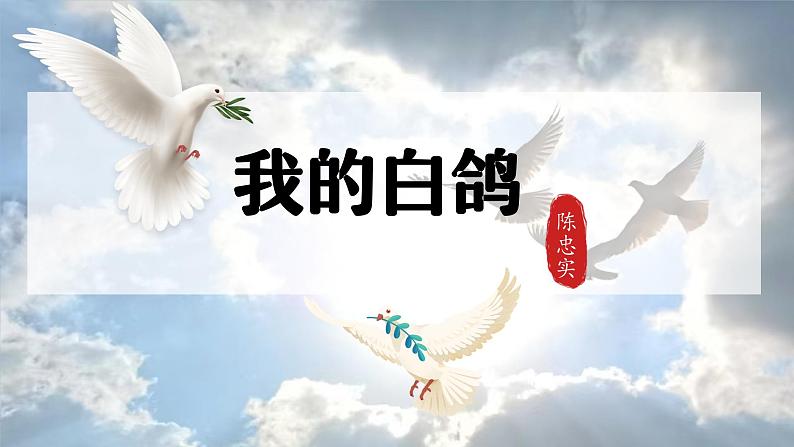 统编版语文七年级上册(2024)第18课《我的白鸽》(课件)第2页