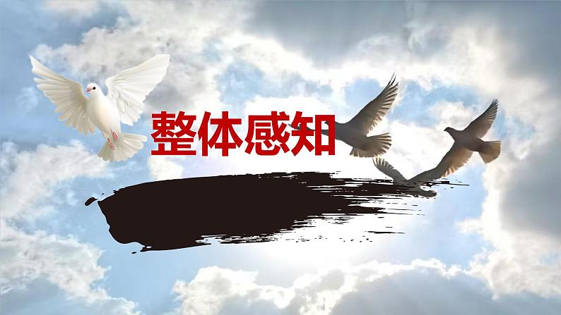 统编版语文七年级上册(2024)第18课《我的白鸽》(课件)第7页