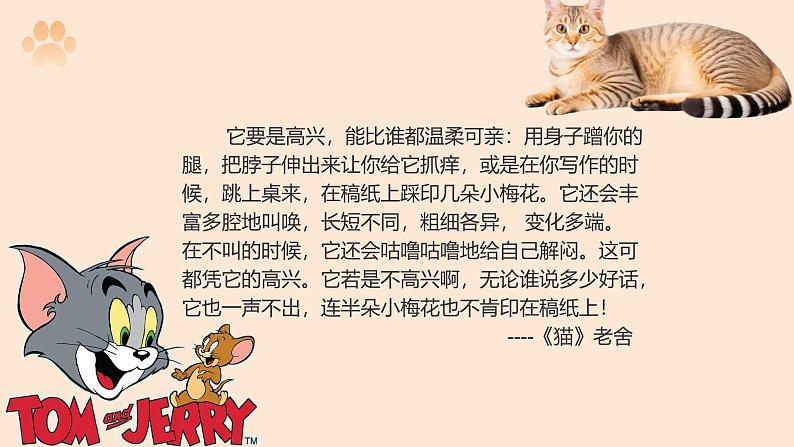 统编版语文七年级上册第17课《猫》(课件)第5页