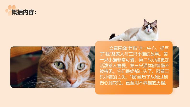 统编版语文七年级上册第17课《猫》(课件)第8页