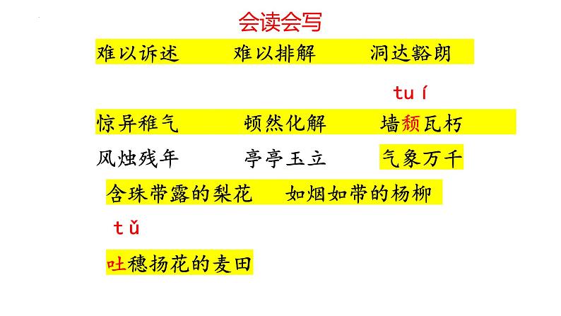 统编版语文七年级上册第18课《我的白鸽》教学课件第4页