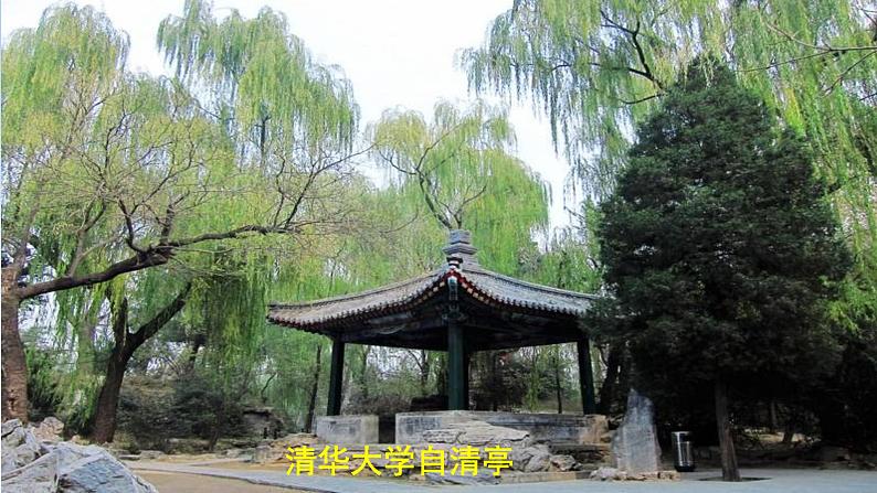 统编版语文八年级上册同步课件14《背影》第8页