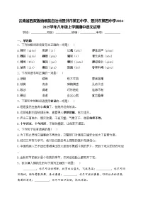 云南省西双版纳傣族自治州景洪市第五中学、景洪市第四中学2024-2025学年八年级上学期期中语文试卷(含答案)