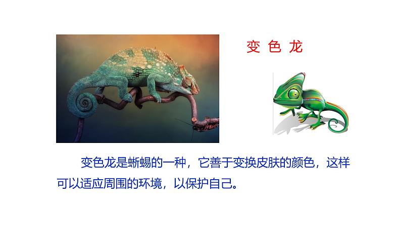 课件:部编版语文九年级下册第6课 变色龙第2页