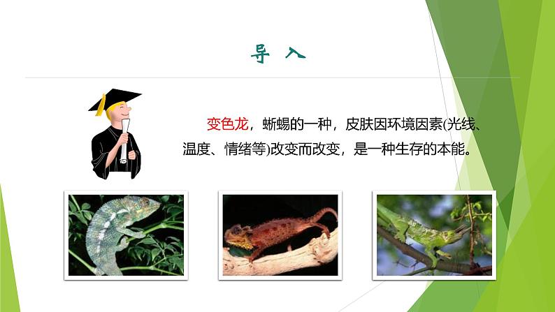 课件:部编版语文九年级下册第6课 变色龙第1课时 预读先学第3页