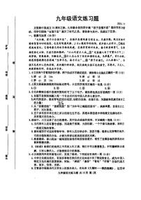 山东省泰安市岱岳区2024—2025学年九年级上学期期中语文试卷