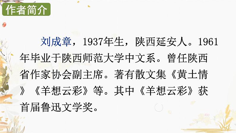 部编版语文八年级下册 第1单元 3 安塞腰鼓 PPT课件第3页