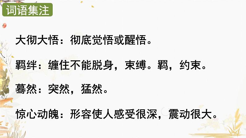 部编版语文八年级下册 第1单元 3 安塞腰鼓 PPT课件第5页