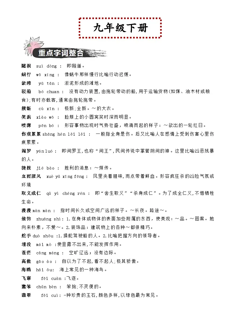 中考语文一轮复习教材重点字词分册梳理练习九年级下册 (解析版)第1页