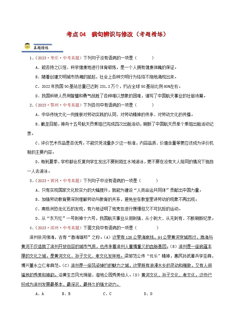 中考语文一轮复习考点归纳与考题精练考点04 病句辨识与修改(考题精练)(原卷版)第1页