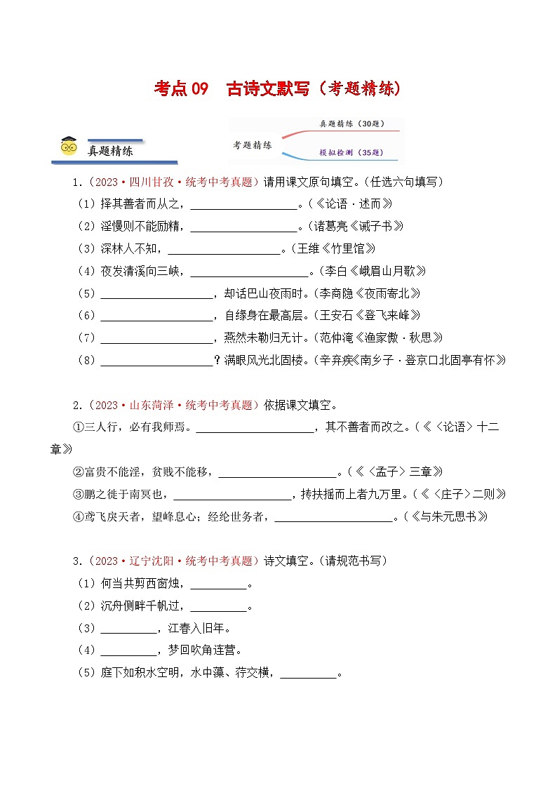 中考语文一轮复习考点归纳与考题精练考点09 古诗文默写(考题精练)(原卷版)第1页