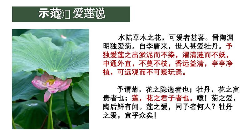 中考语文一轮复习作文高分技巧点拨课件第2讲 审题立意之托物言志第8页