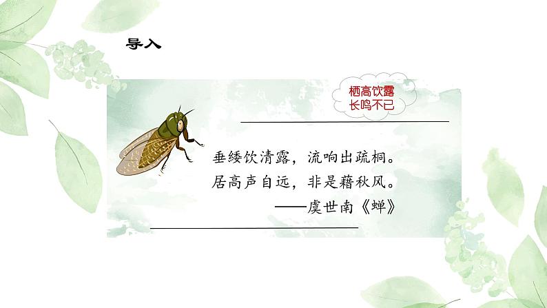 统编版语文八年级上册第21课《蝉》课件第2页