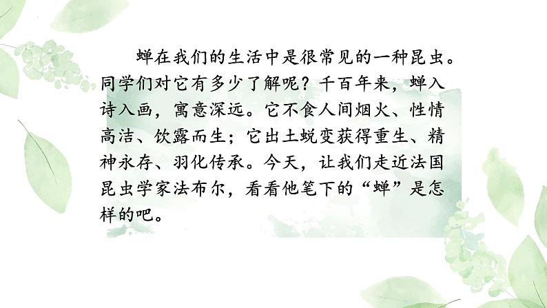 统编版语文八年级上册第21课《蝉》课件第3页