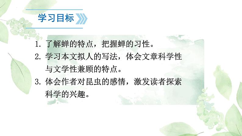 统编版语文八年级上册第21课《蝉》课件第4页