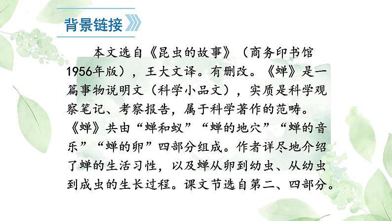 统编版语文八年级上册第21课《蝉》课件第6页