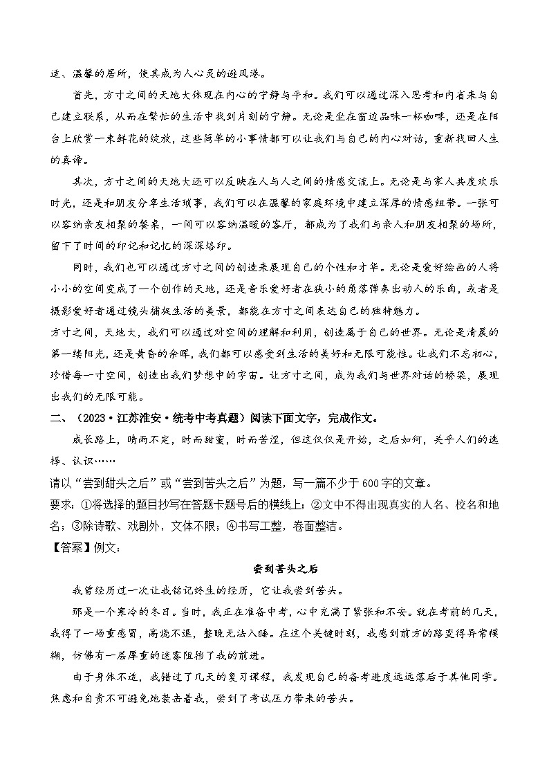 中考语文一轮复习考点讲与练11 作文(好题冲关)(解析版)第2页