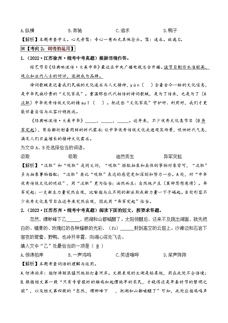 中考语文一轮复习考点讲与练考点二  词语的运用(重难讲义)(解析版)第2页