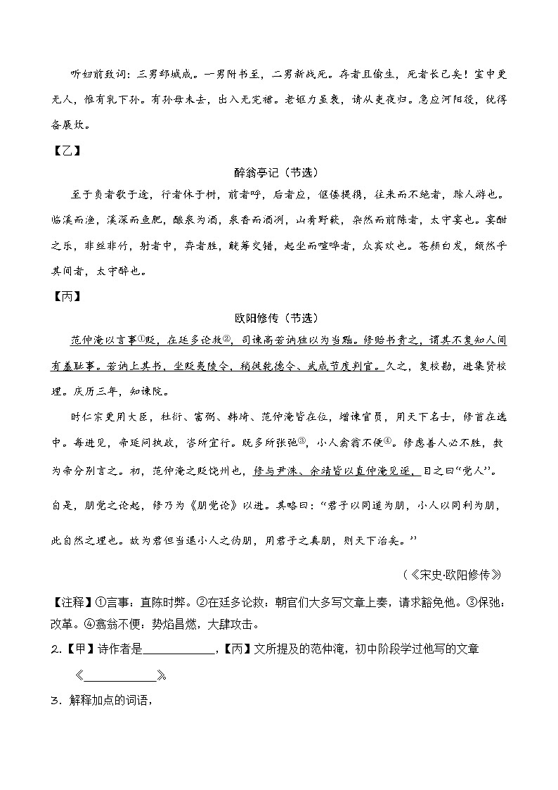 中考语文适应性模拟试卷(上海卷)(原卷版)第2页