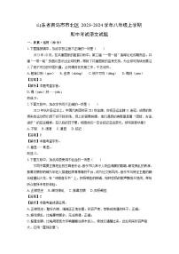 2023~2024学年山东省青岛市市北区八年级(上)期中考试语文试卷(解析版)