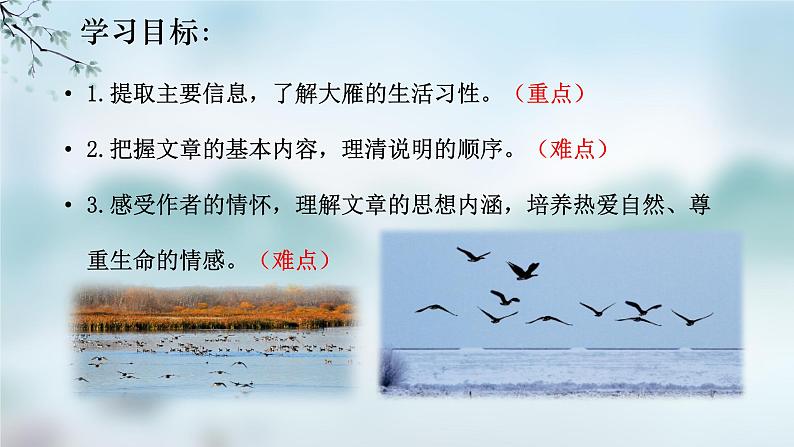统编版语文七年级上册(2024)第19课《大雁归来》教学课件(2024)第2页