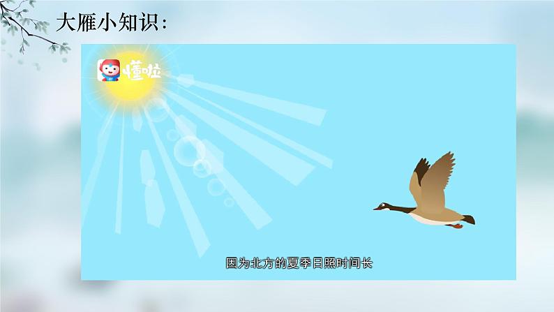 统编版语文七年级上册(2024)第19课《大雁归来》教学课件(2024)第3页
