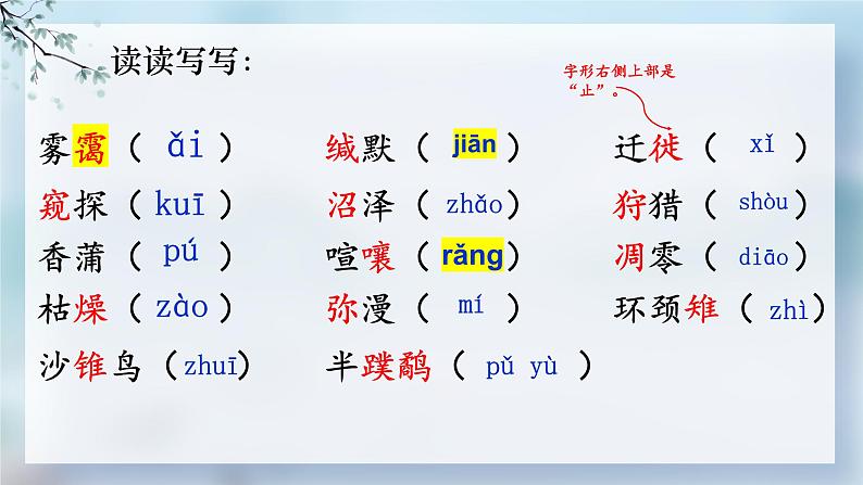 统编版语文七年级上册(2024)第19课《大雁归来》教学课件(2024)第7页