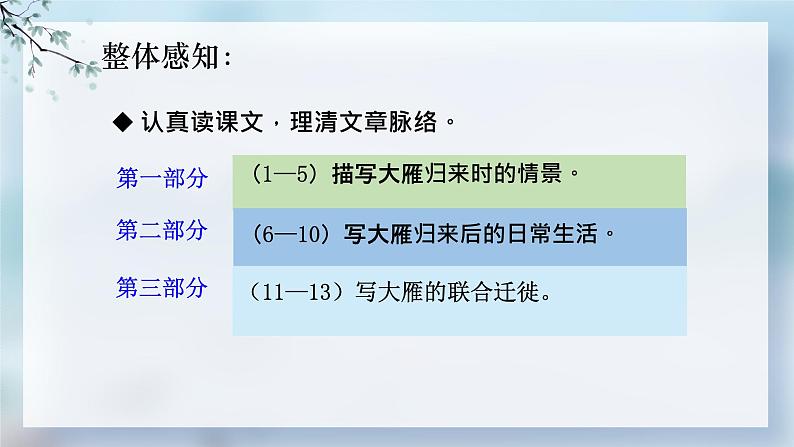 统编版语文七年级上册(2024)第19课《大雁归来》教学课件(2024)第8页
