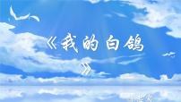 人教部编版（2024）七年级上册（2024）18 我的白鸽/陈忠实教案配套课件ppt