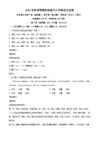 天津市天津市北辰区第三学区2024-2025学年八年级上学期期中语文试题（解析版）