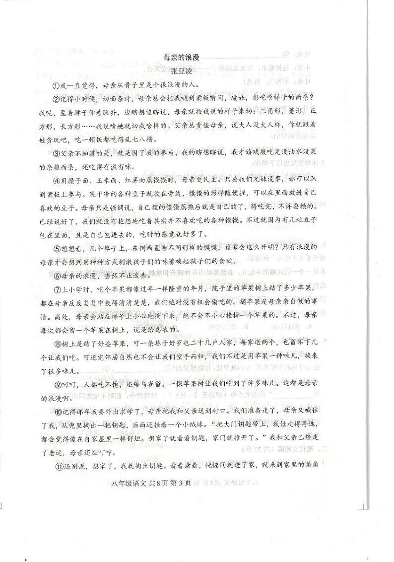 河南省信阳市平桥区2024-2025学年八年级上学期12月期中语文试题第3页