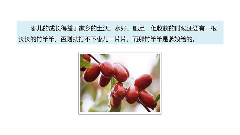 课件:部编版语文九年级下册第19课 枣儿 第1课时 预读先学第4页