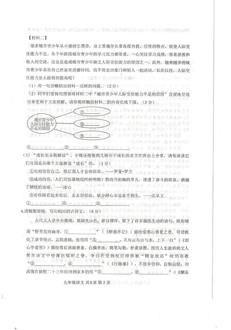 河南省信阳市平桥区2024-2025学年九年级上学期12月期中语文试题第2页