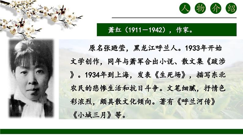 人教部编版初中语文九年级上册 《3.短诗五首-萧红墓畔口占》课件第3页