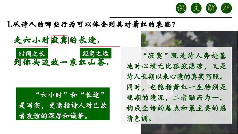 人教部编版初中语文九年级上册 《3.短诗五首-萧红墓畔口占》课件第8页