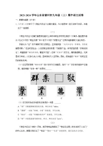 2023-2024学年山东省德州市九年级（上）期中语文试卷